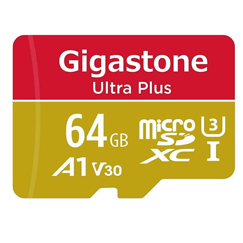 64GB Micro SD Card 4K Video Recording 4K Game Pro Nintendo Switch Compatible RW up to 9535 MBs Micro SDXC UHSI A1 V30 Class 10