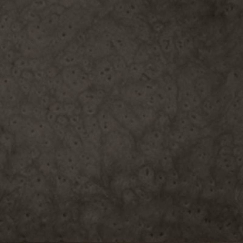 Master Paint Brush 2"