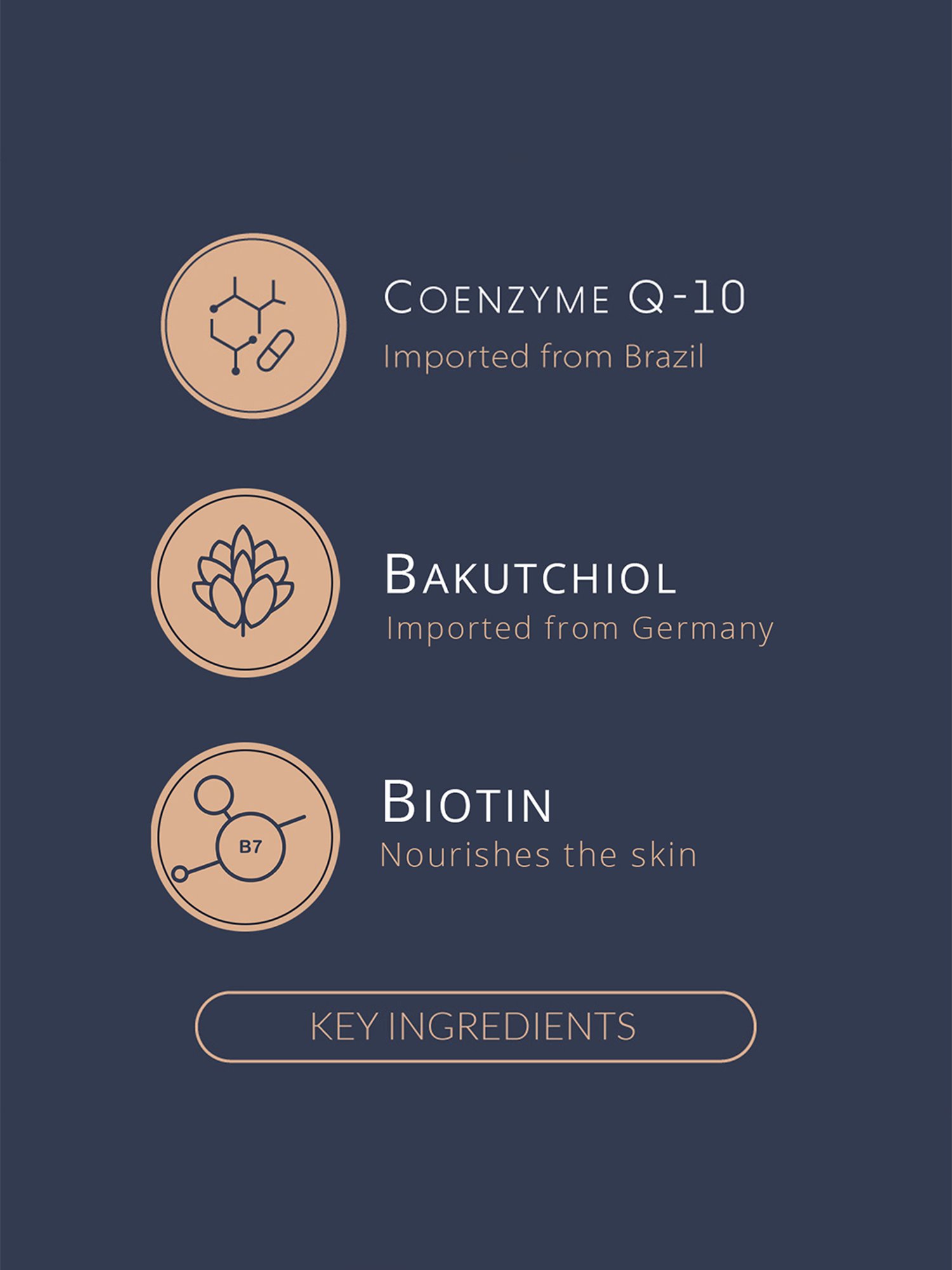 Vrija Nourish Night Mask for Men & Women - 45 gm