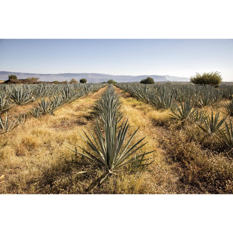 el Jimador Reposado Tequila - 1.75L Bottle