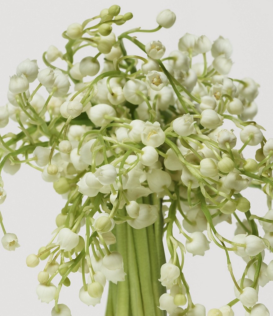 Donna Karan Cashmere Mist Body Creme