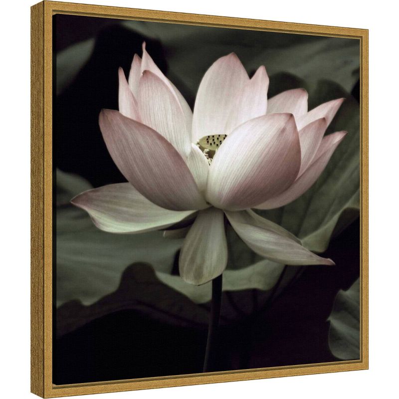 16" x 16" The Lotus I by Andy Neuwirth Framed Canvas Wall Art - Amanti Art