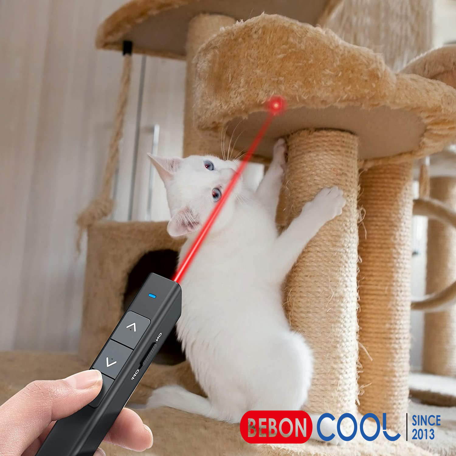 BEBONCOOL Laser Pointer For Cats, Cats And Dogs Toy , Laser Pointer Red , 2.4Ghz  Laser Pointer Dog