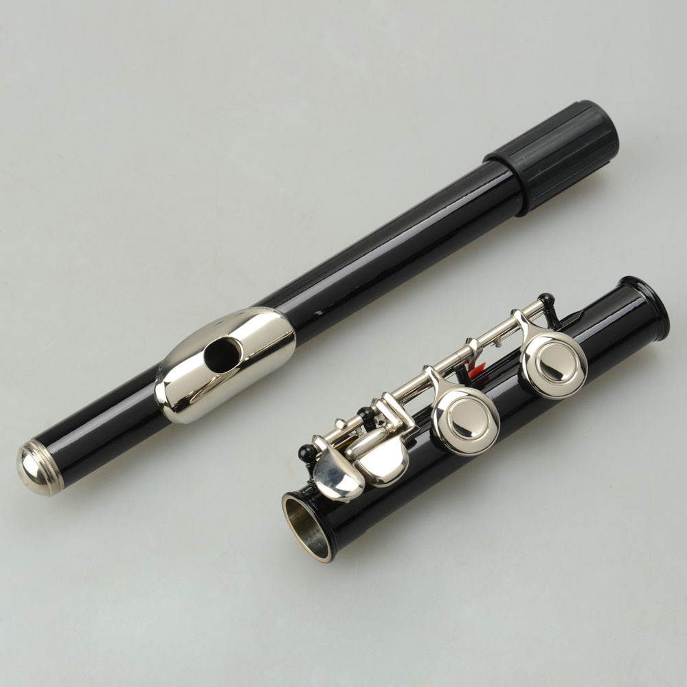 New Standard School Band Student 16 Closed C Flute w/ Case&Accessories Black