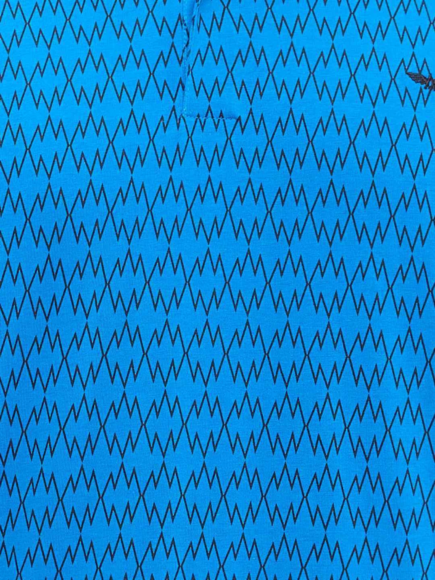 Park Avenue Blue Slim Fit Printed Polo T-Shirt