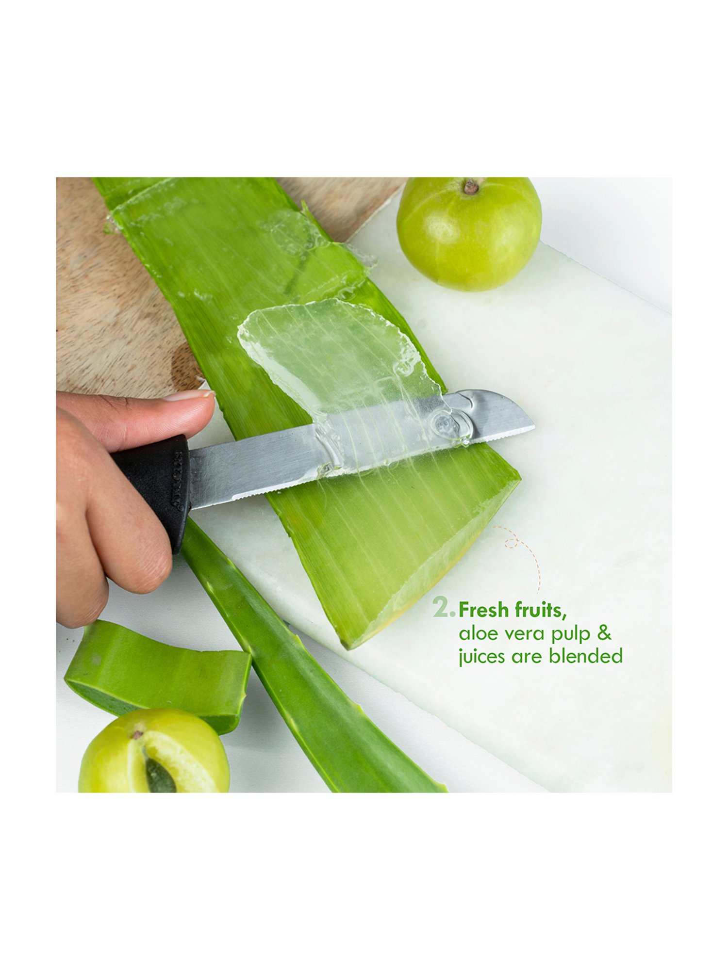 Nat Habit Blackseed Tulsi Phyto Active Fresh Whipped All-Day Malai Face Moisturiser - 30 gm