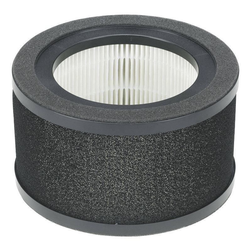 GermGuardian HEPA Genuine Air Control Filter L Replacement for AC4200