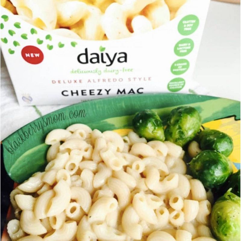 Daiya Dairy-Free Deluxe Alfredo Style Cheezy Mac - 10.6oz