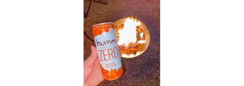Humm Zero Sugar Blood Orange Kombucha - 11 fl oz