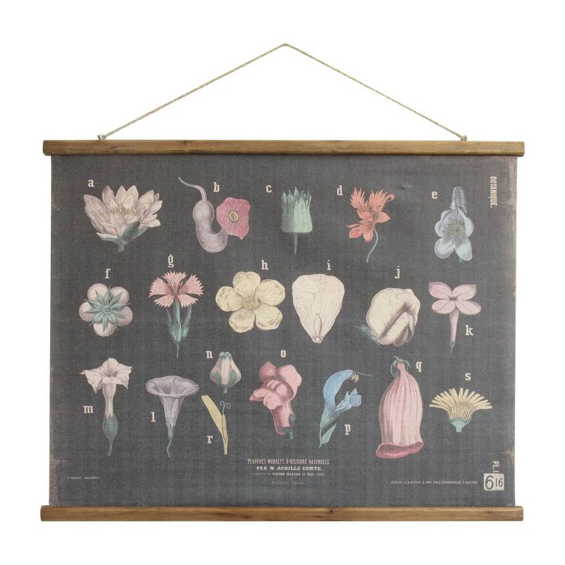 Scientific Unframed Botanicals Linen and Wood Scroll Black - 3R Studios
