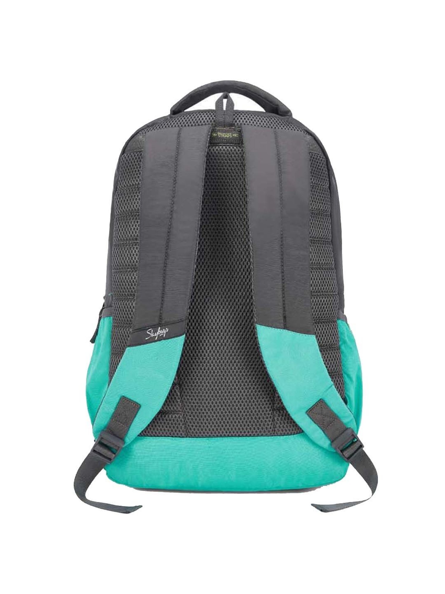 Skybags 28 Ltrs Grey Medium Backpack