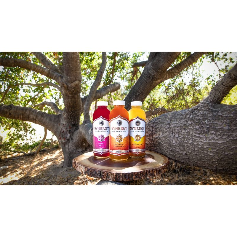 GT's Synergy Tantric Turmeric Organic Kombucha - 16 fl oz Bottle