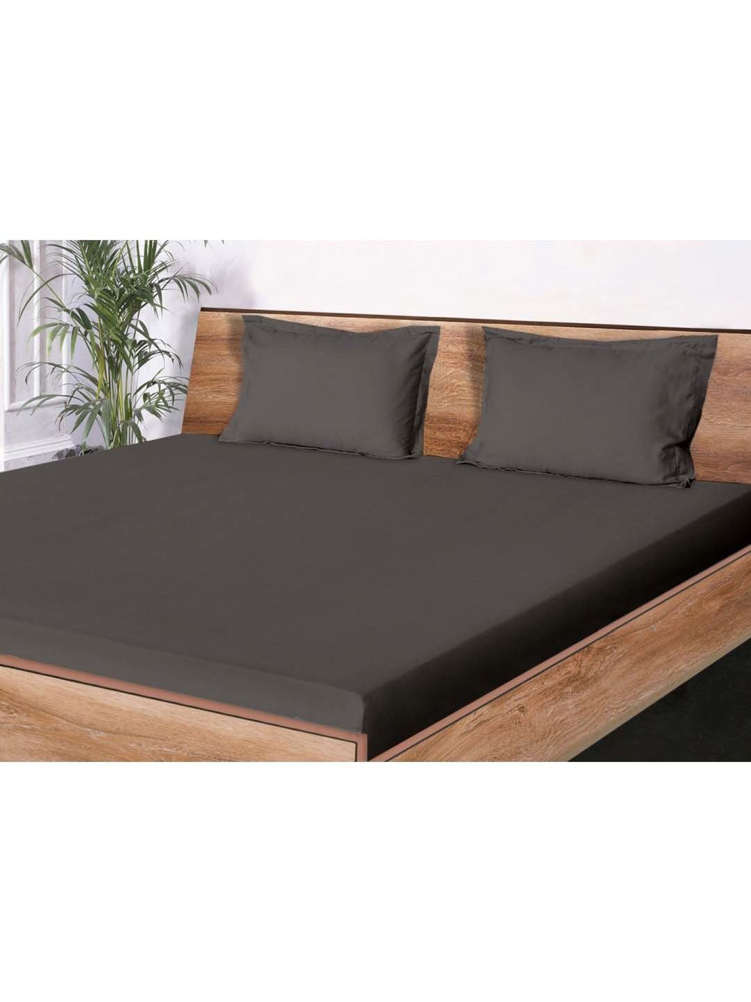 Mark Home Classic Brown Cotton 210 TC King Bedsheet with 2 Pillow Covers