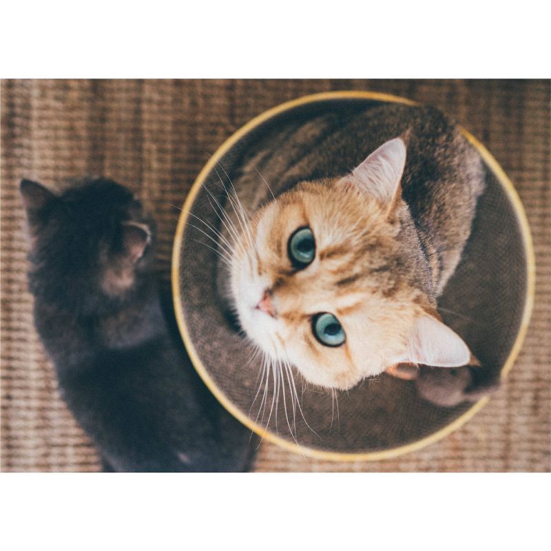 PETKIT Flying Fish Cat Scratcher - White/Blue