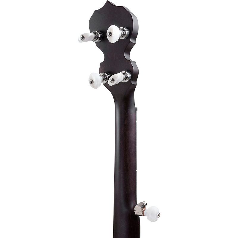 Deering Artisan Goodtime Special 5-String Resonator Banjo Natural