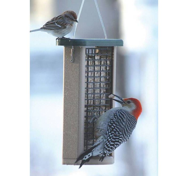 Birds Choice Bird 2-Cake Suet Feeder with Base Bird Feeder