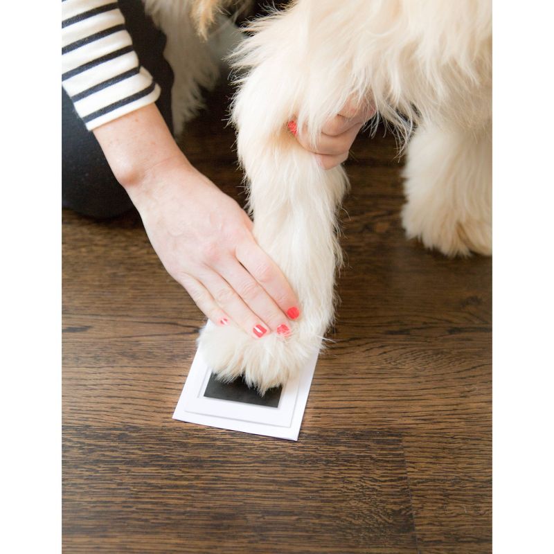 Pearhead Clean-Touch Ink Pad