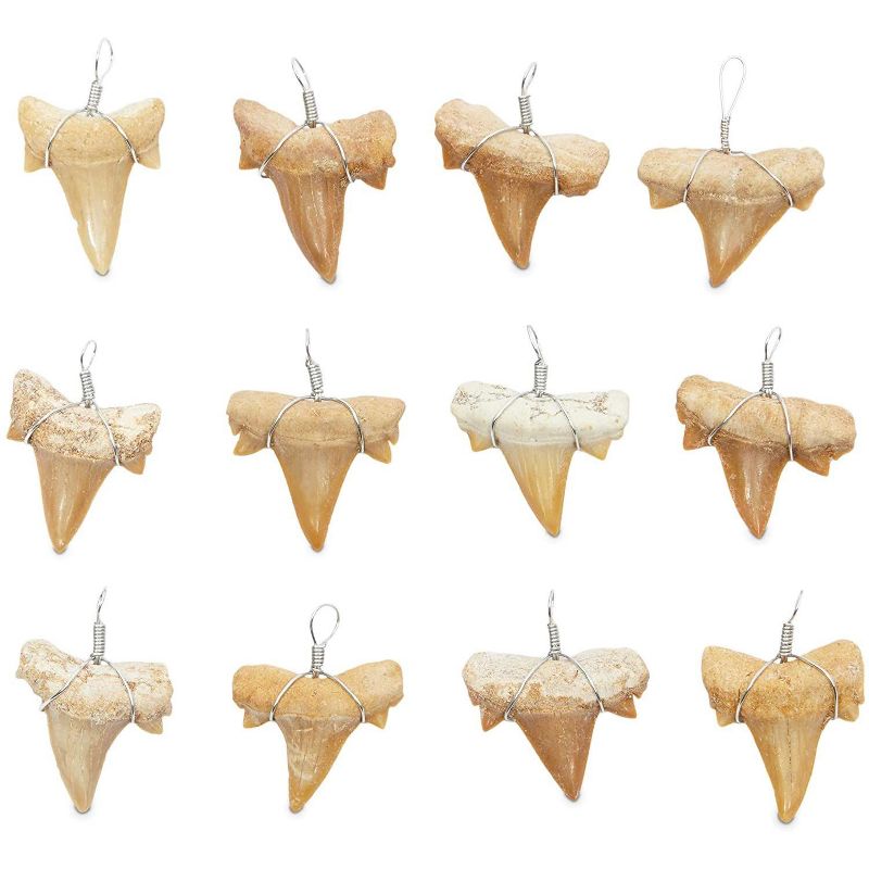 Zodaca 12 Pack Shark Fossil Tooth Pendant for Rustic Necklace, 1" x 0.8"