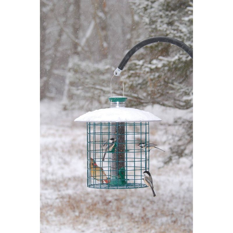 Droll Yankees Sunflower Squirrel Proof Domed Cage Bird Feeder - Green