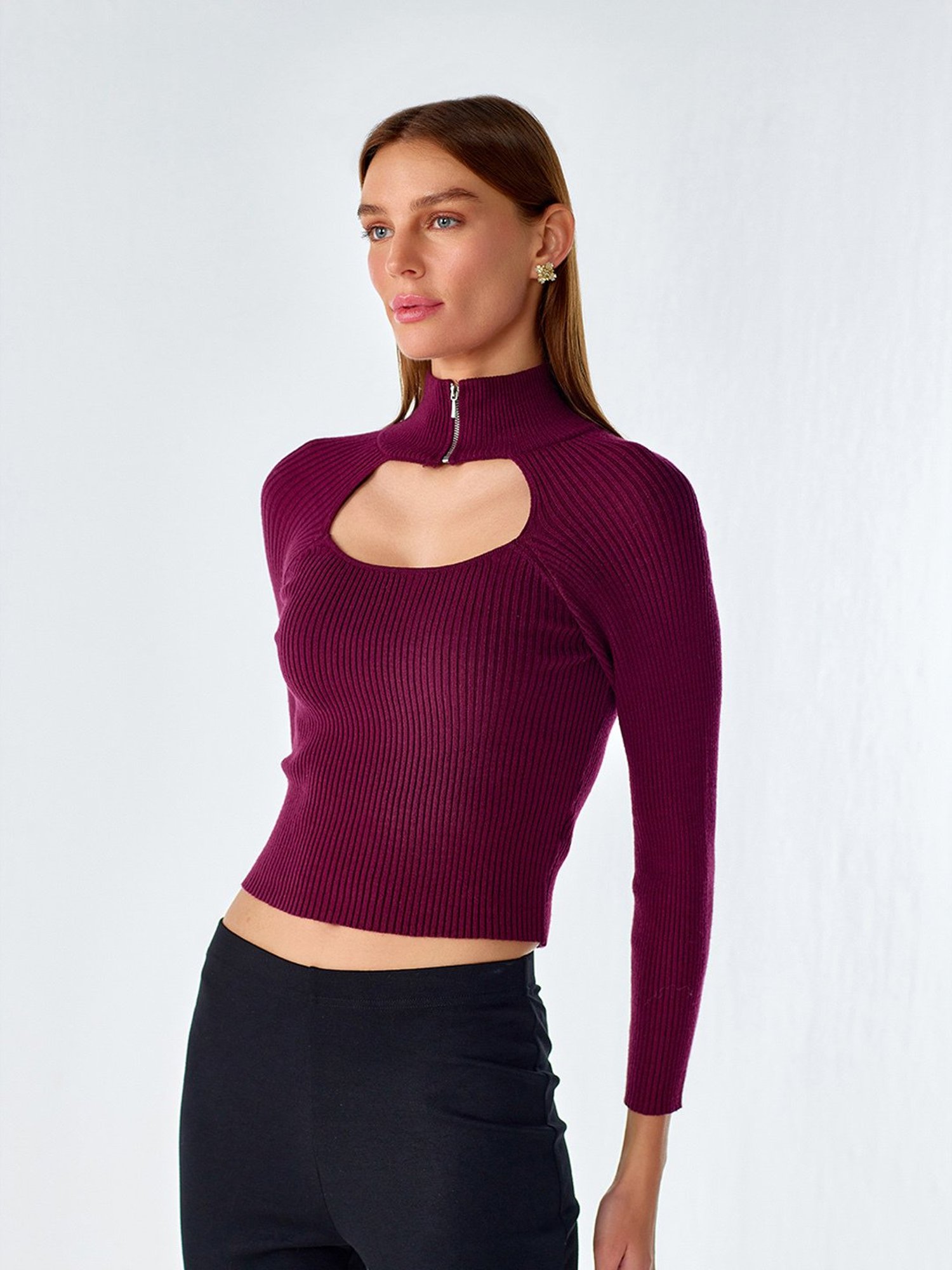 Cover Story Wine Regular Fit Pullover