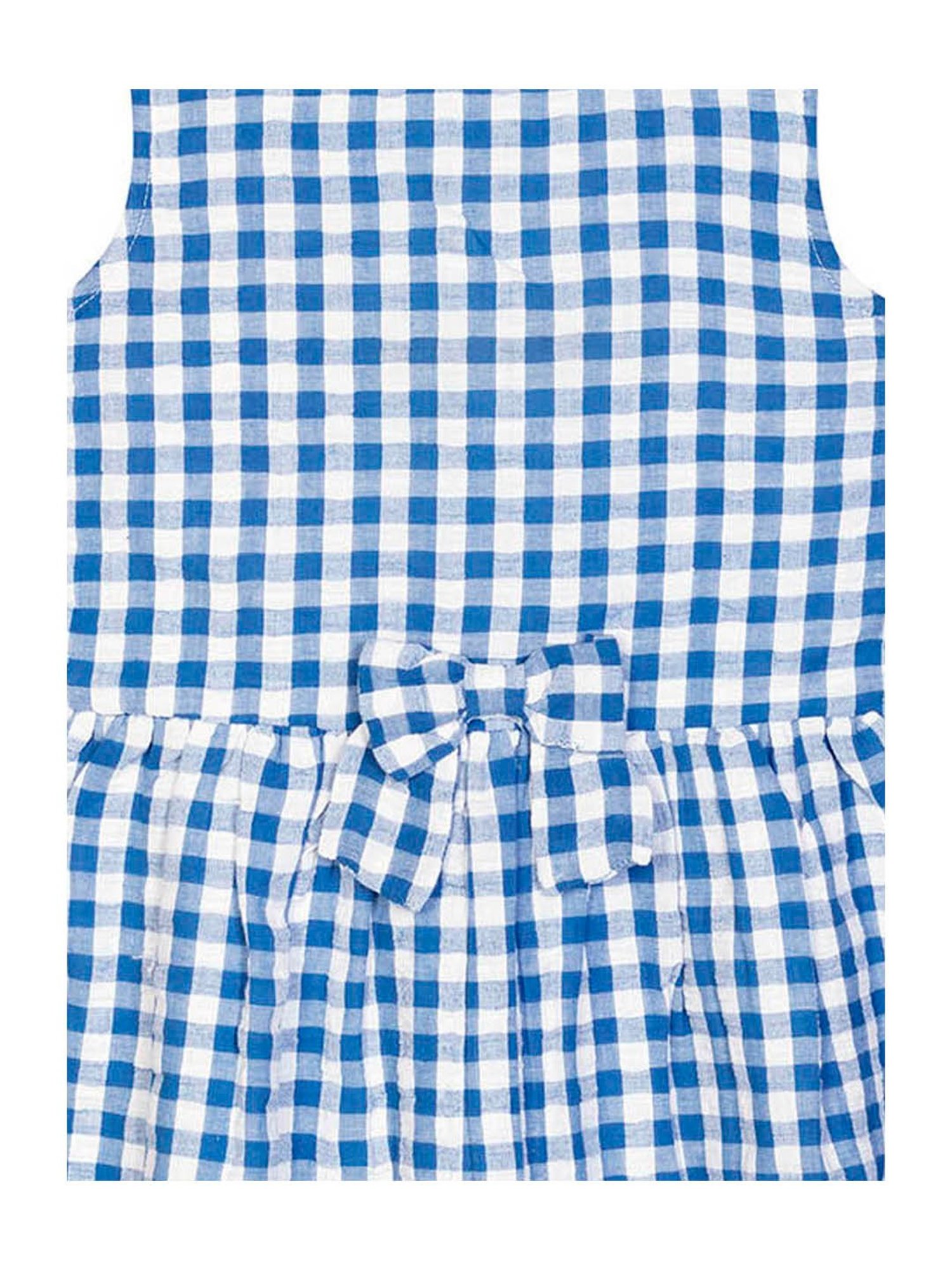 Budding Bees Kids Blue & White Checks Dress