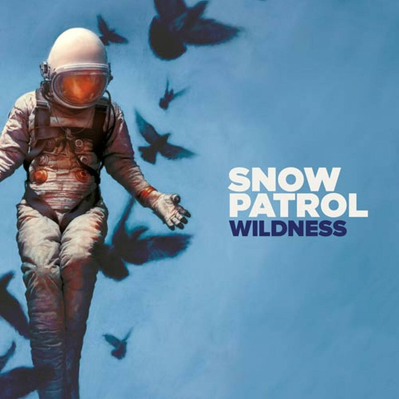 Snow Patrol Wildness LP (Vinyl)