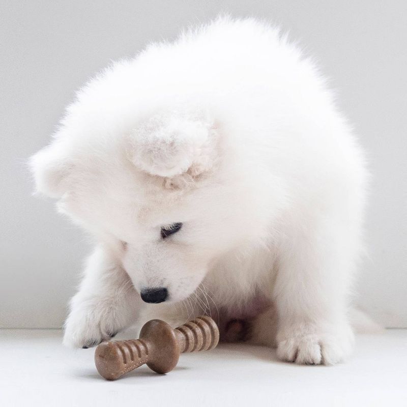 Benebone Puppy Bacon Dog Toy - S - 2pk