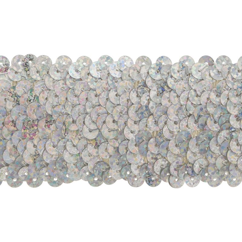 Simplicity Stretch Sequins 2"X8yd-Silver Holographic