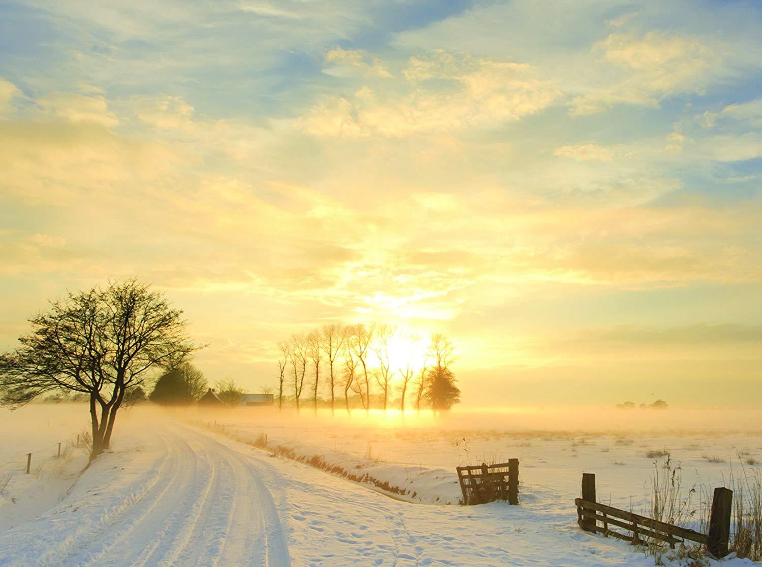 Turning of the Seasons Fall and Winter - 36 Note Cards - 6 Designs - Blank Cards - White Envelopes Included