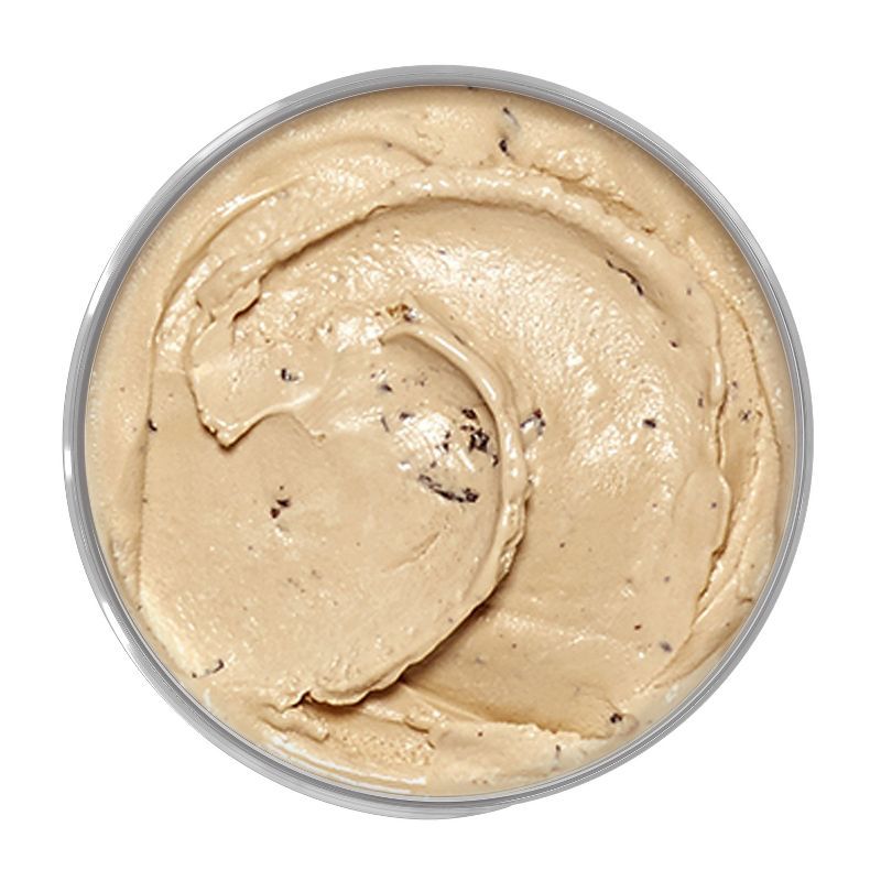 Talenti Coffee Chocolate Chip Gelato - 16oz