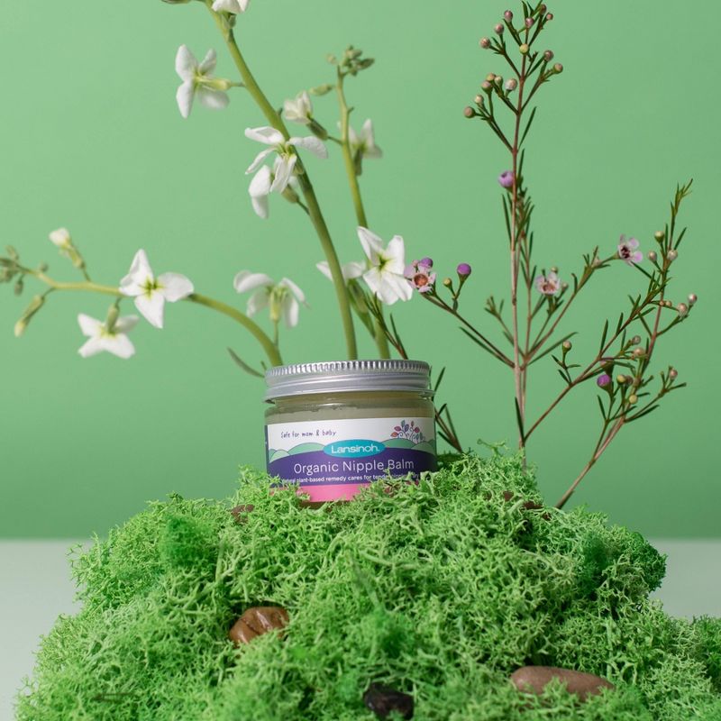 Lansinoh Organic Nipple Balm