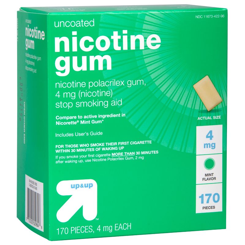 Nicotine 4mg Gum Stop Smoking Aid - Mint Flavor - 170ct - up & up™