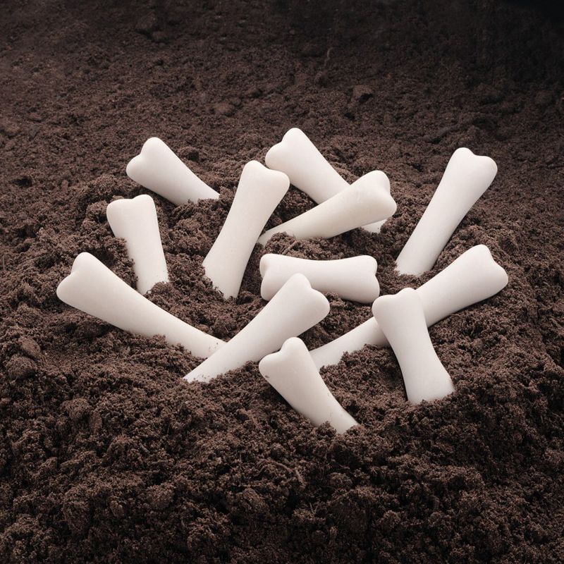 Yellow Door Dinosaur Bones Match & Measuring Set