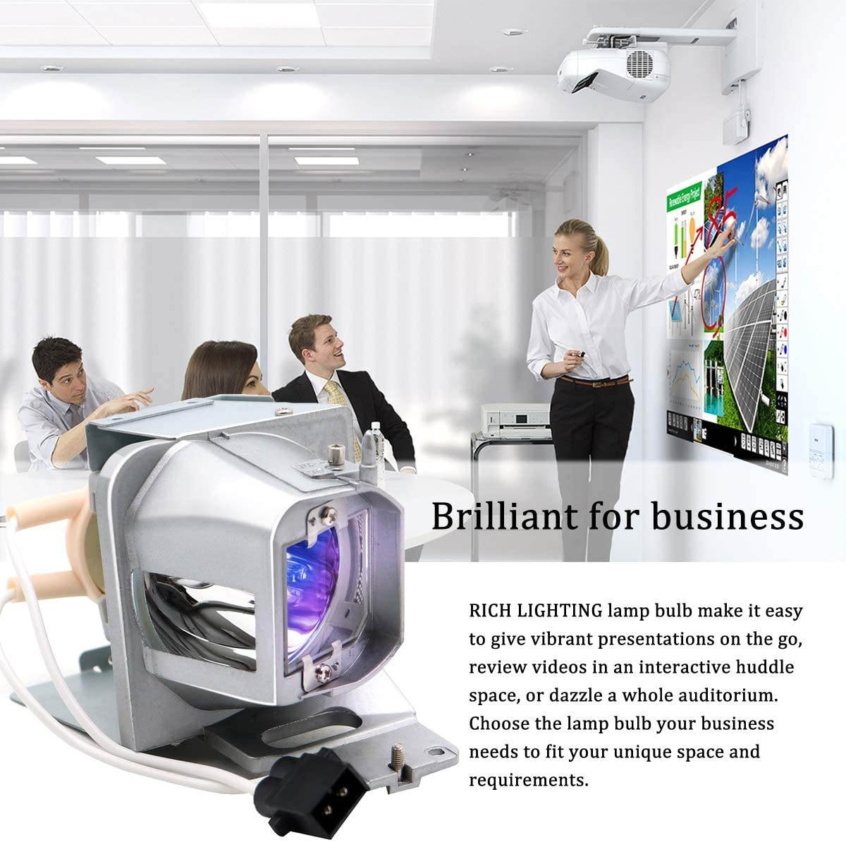 RICH LIGHTING BL-FP210B/ BL-FP210A Projector Lamp Bulb for Optoma HD200D HD28DSE DH1012 X351 W351 EH341 UHD350X DH1012 EH210 EH341 HD26LV HDF572 Replacement Bulb with Housing