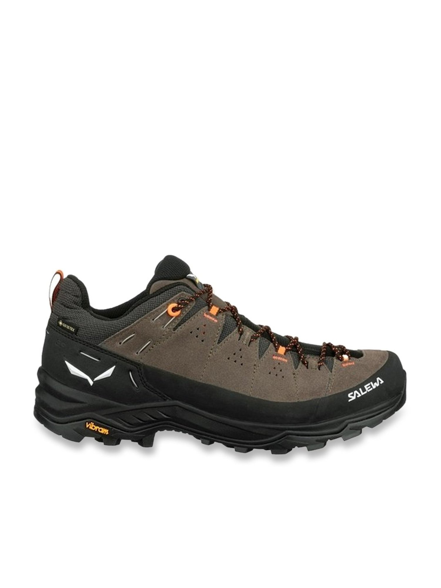 Salewa Men's ALP TRAINER 2 GTX Brown Outdoor Shoes