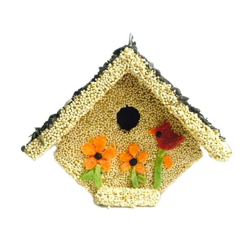 Home & Garden 5.75" Spring Fruit Casita Birdhouse Seed Songbird Bird Mr Bird  -  Bird And Wildlife Food