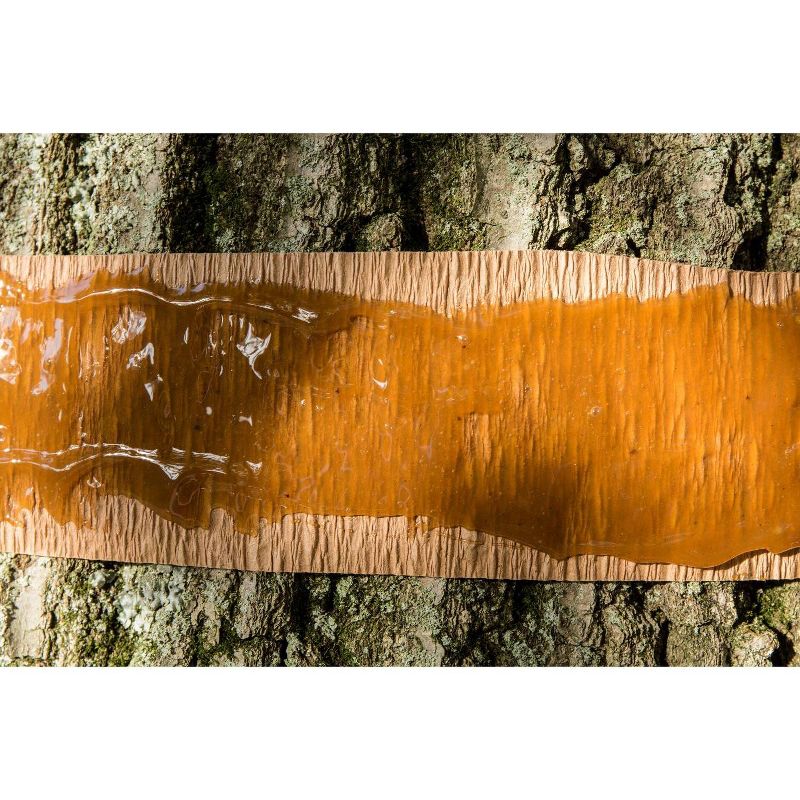 Tanglefoot Tree Insect Barrier - 5lb