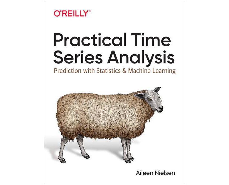 Practical Time Series Analysis - by  Aileen Nielsen (Paperback)