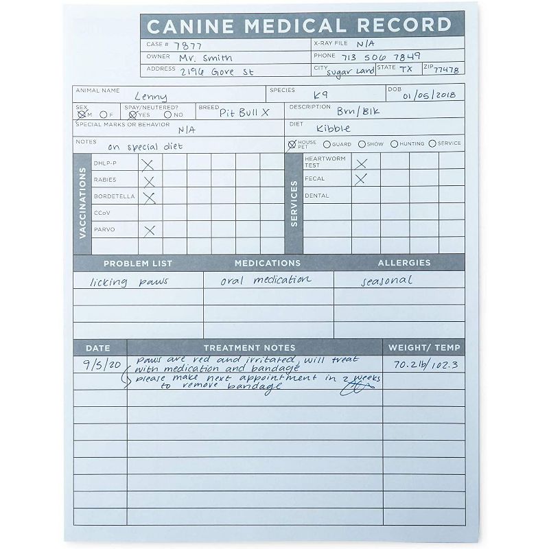 Okuna Outpost 250 Pack Pet Medical Record Sheets for Vets, Paper Puppy Vaccine Cards (8.5 x 11 in)