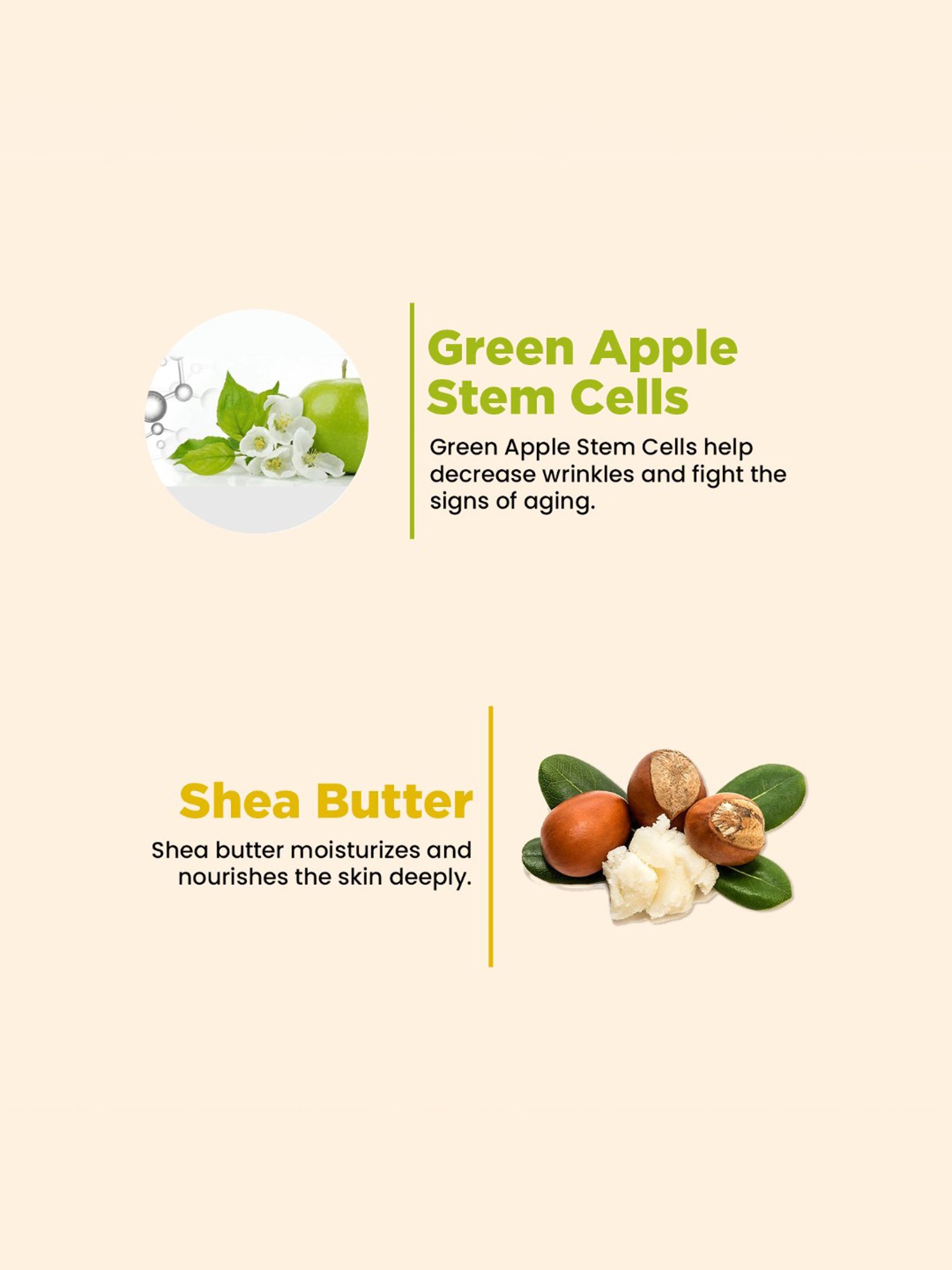 The Skin Story Green Apple Stem Cells Radiant Night Cream - 45 gm