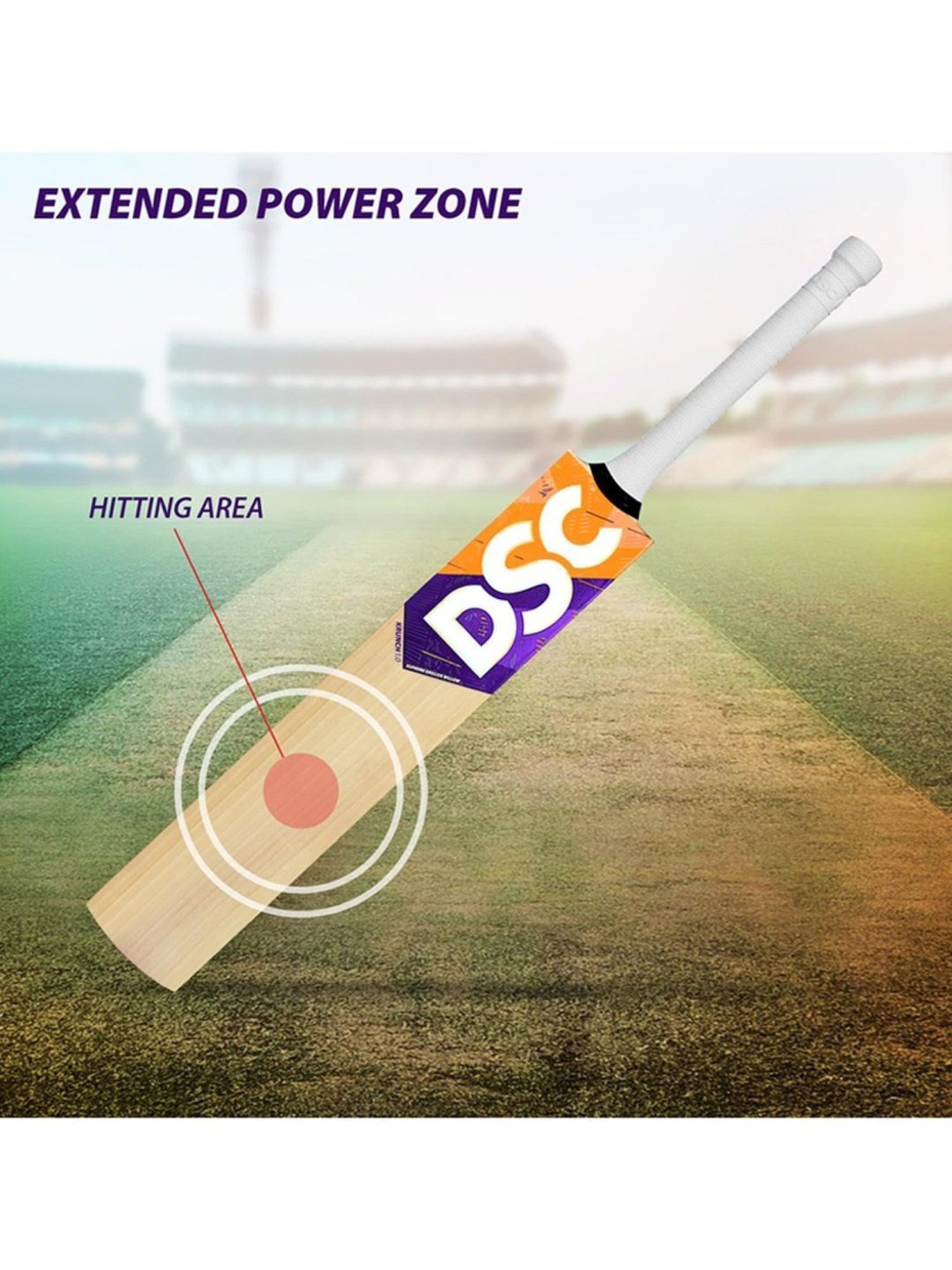 DSC Krunch 1.0 English Willow Cricket Bat Size - 3