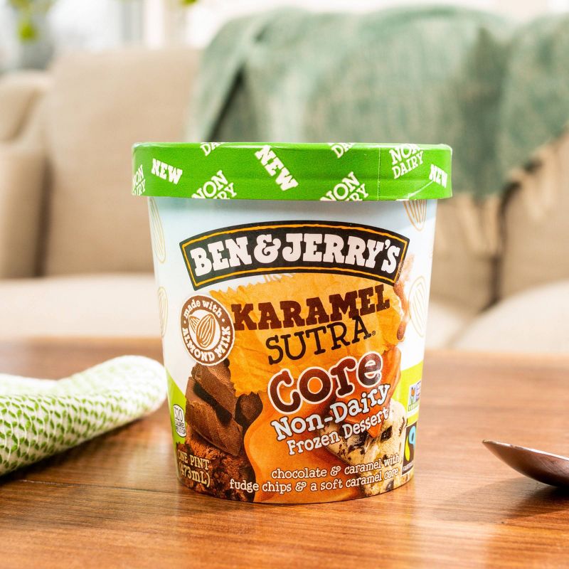 Ben & Jerry's Non Dairy Karamel Sutra Core Frozen Dessert - 16oz