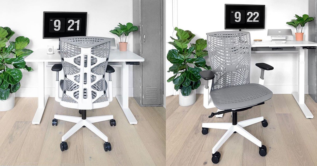 Autonomous Ergonomic Office Chair - ErgoChair Pro+ White Frame, Naked Grey TPE