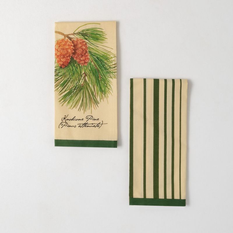 Sullivans Pinecone Cotton Tea Towels Set of 2, 28"L Multicolored