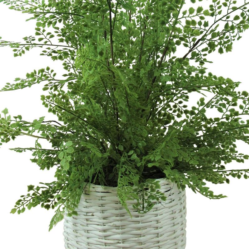 46" x 18" Artificial Maiden Hair Fern Plant in Basket Stand - LCG Florals
