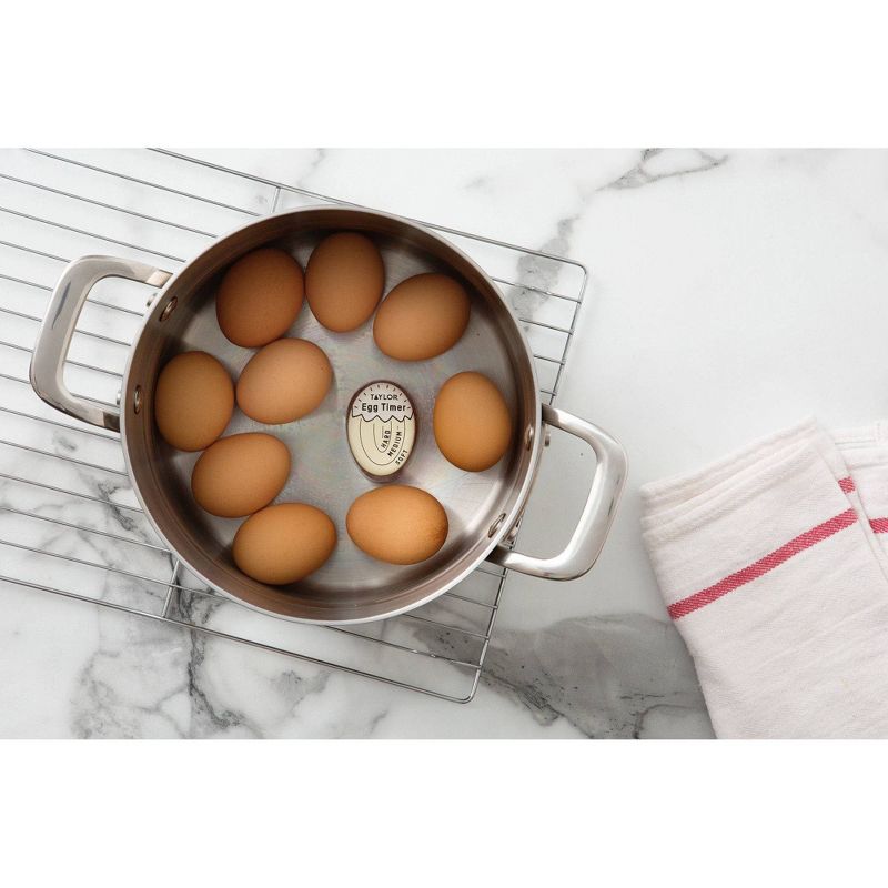 Taylor Color Changing Egg Timer