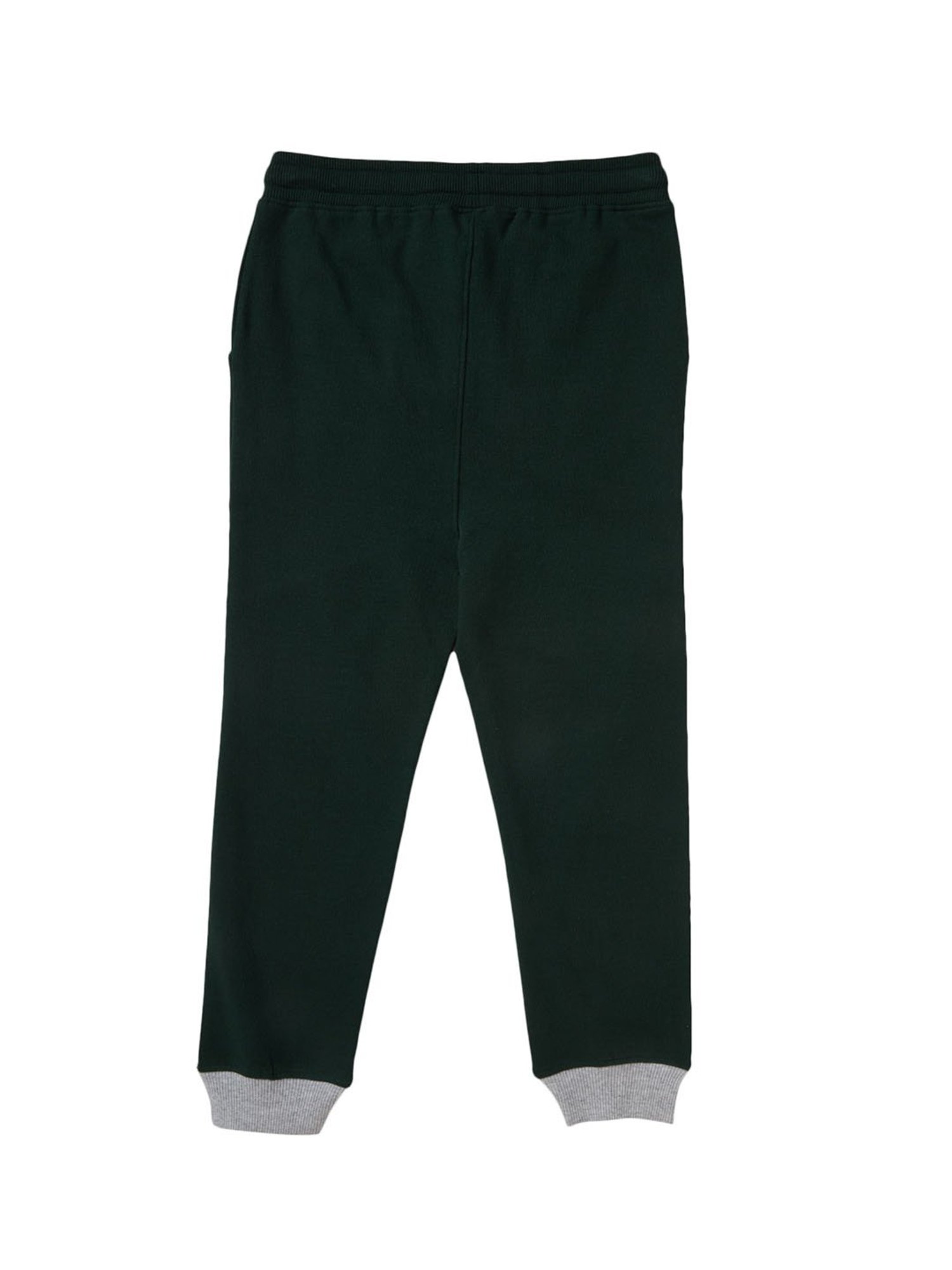 Cub McPaws Boys Green & Grey Printed  Joggers
