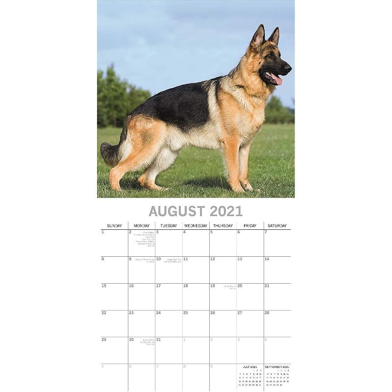 Sellers Publishing, 2021 Outlander 16-Month Wall Calendar