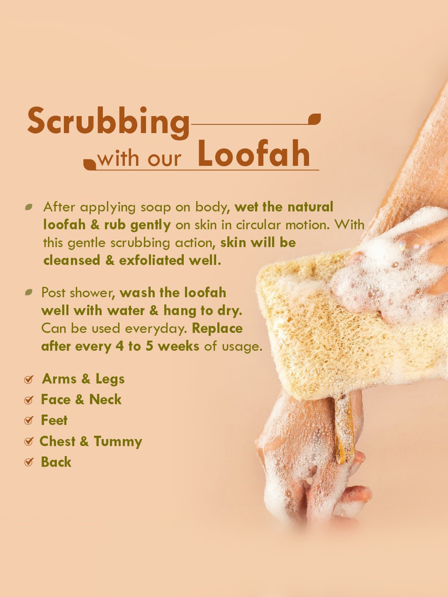 Mei Apothecary Jade Gua Sha Facial Massage Beauty Tool