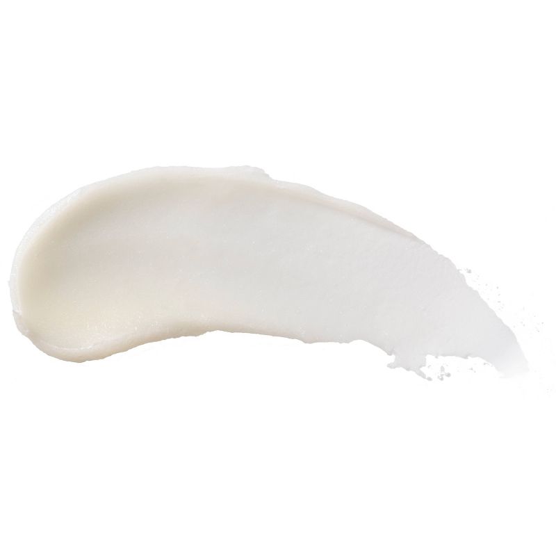 Burt's Bees Lip Balm - Ginger Lime - 0.15oz